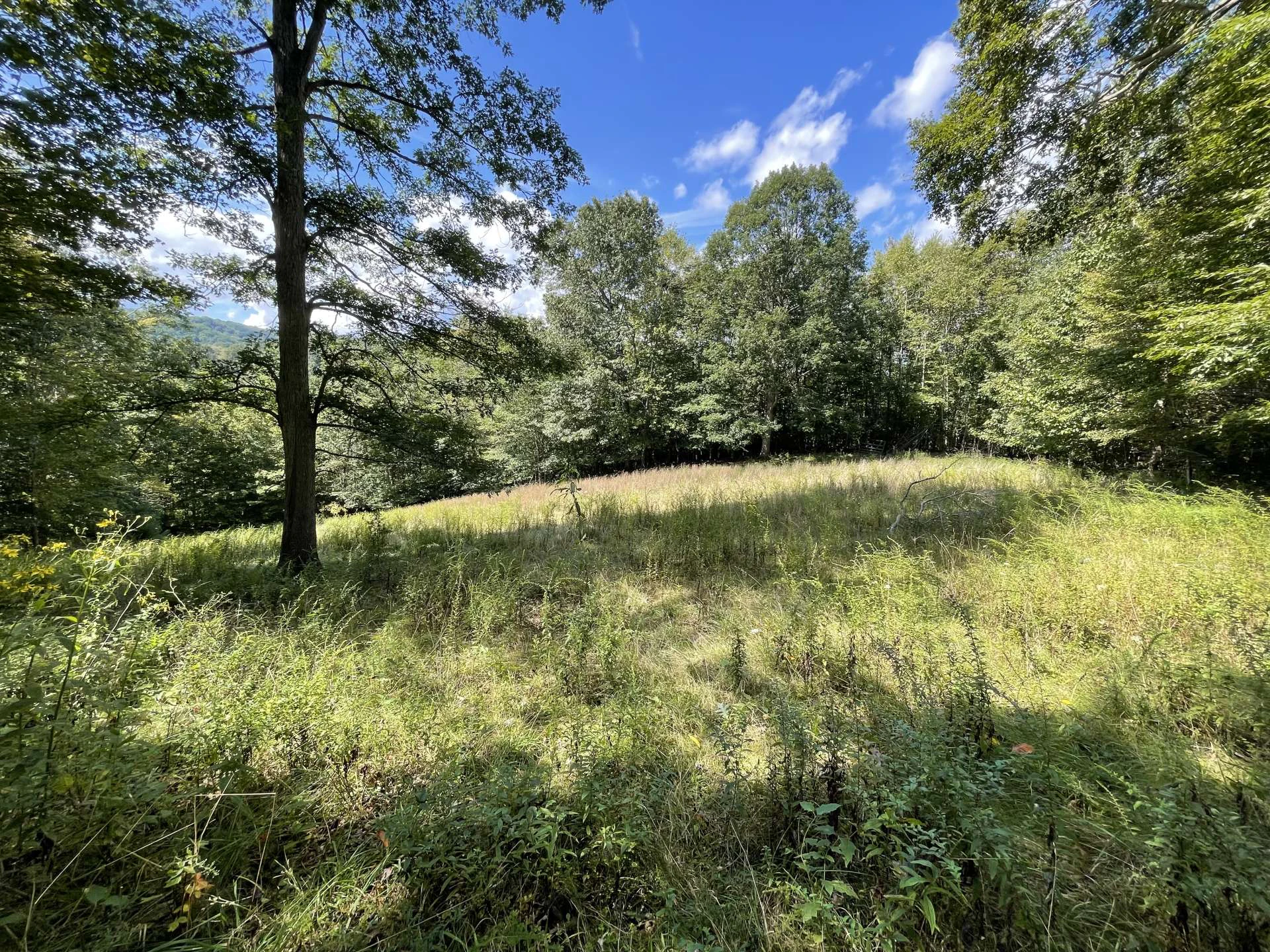 Image number 8 for the current listing
