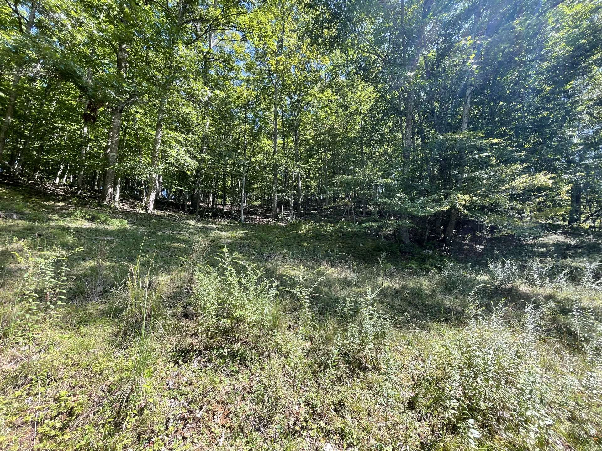 Image number 3 for the current listing