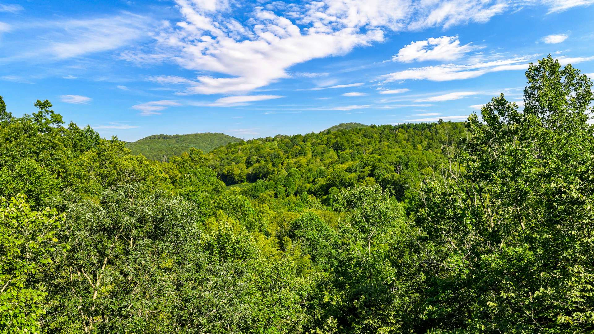 Image number 9 for the current listing