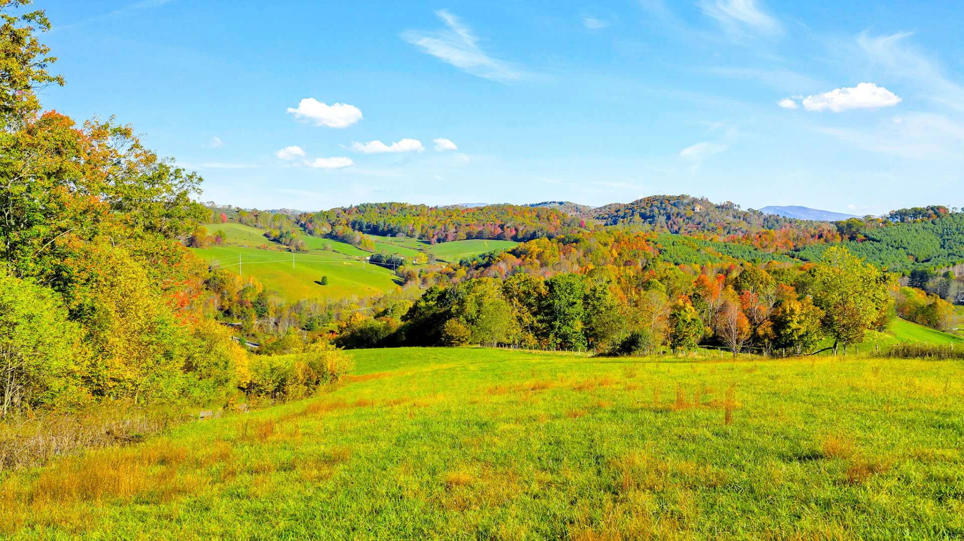 Image number 7 for the current listing