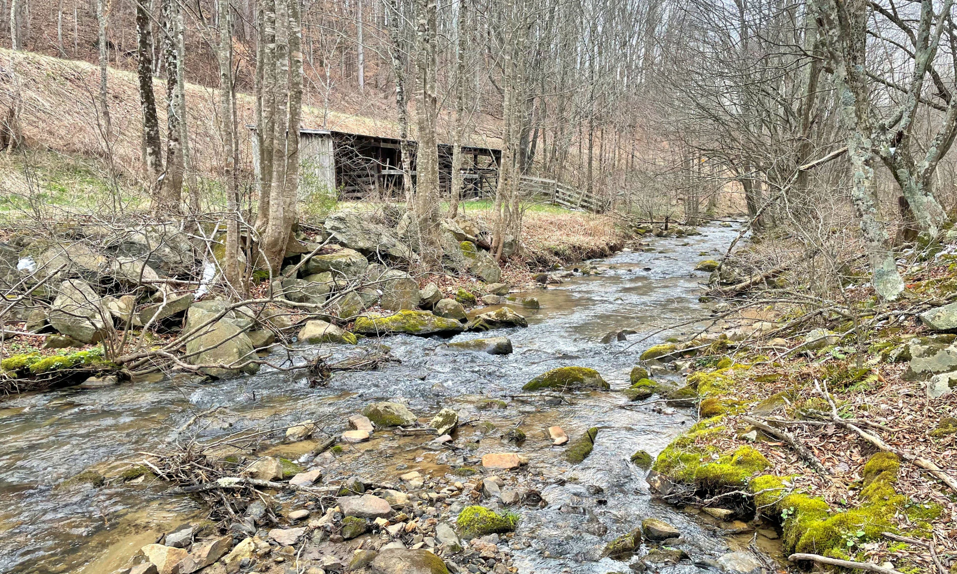 Image number 1 for the current listing