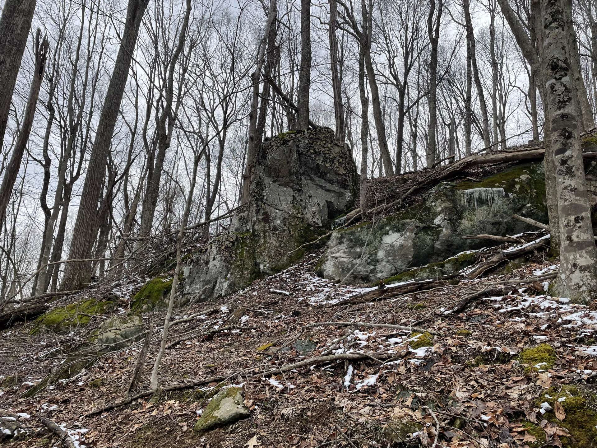 Image number 14 for the current listing