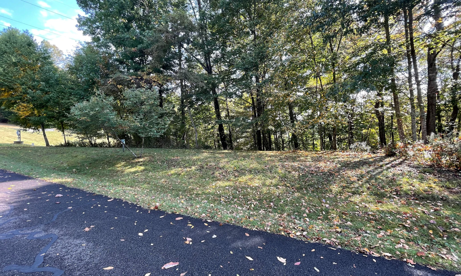 Image number 1 for the current listing