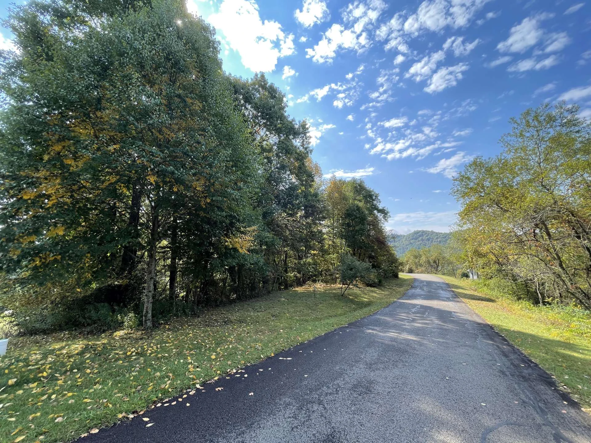 Image number 2 for the current listing