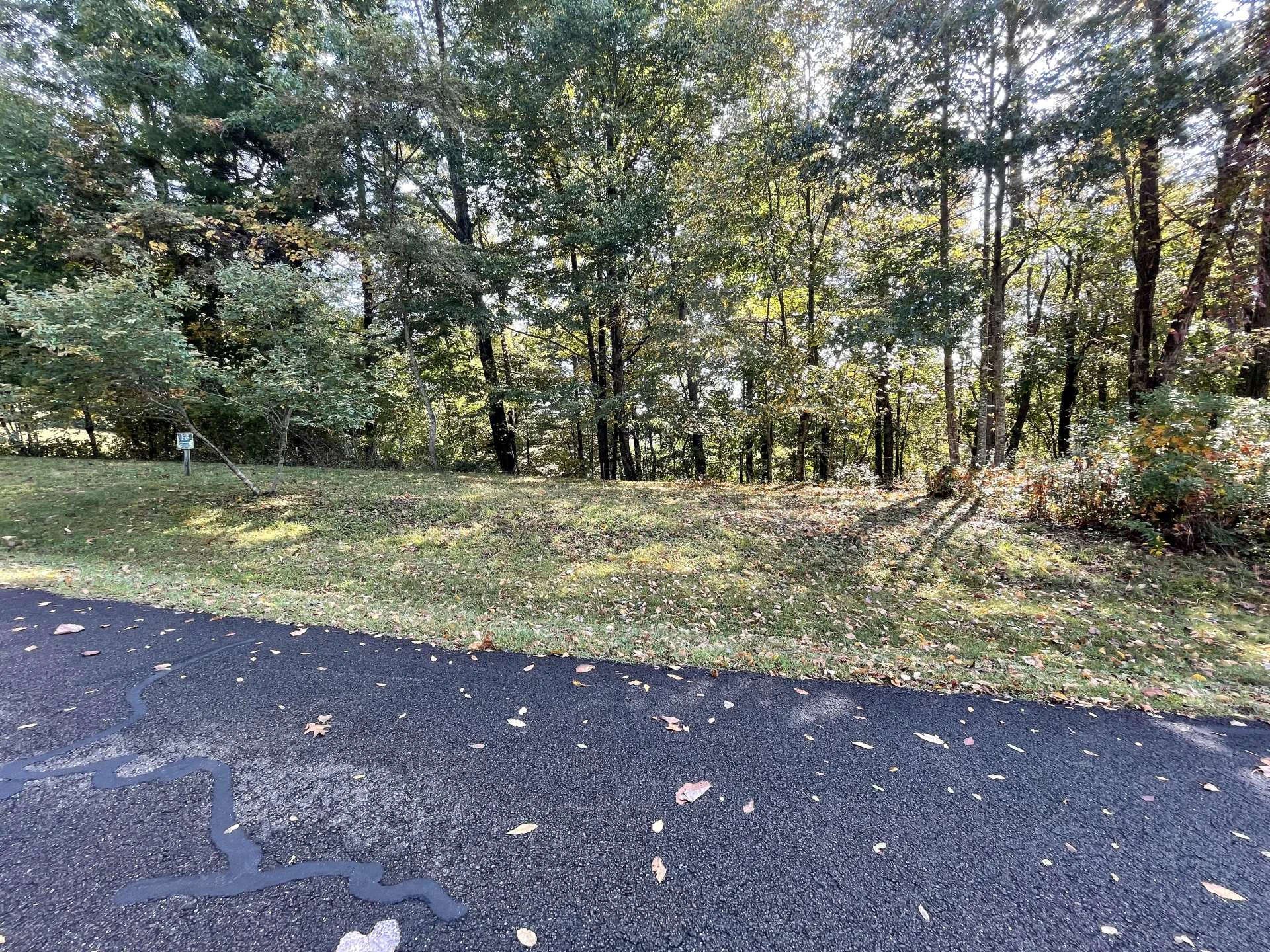Image number 3 for the current listing