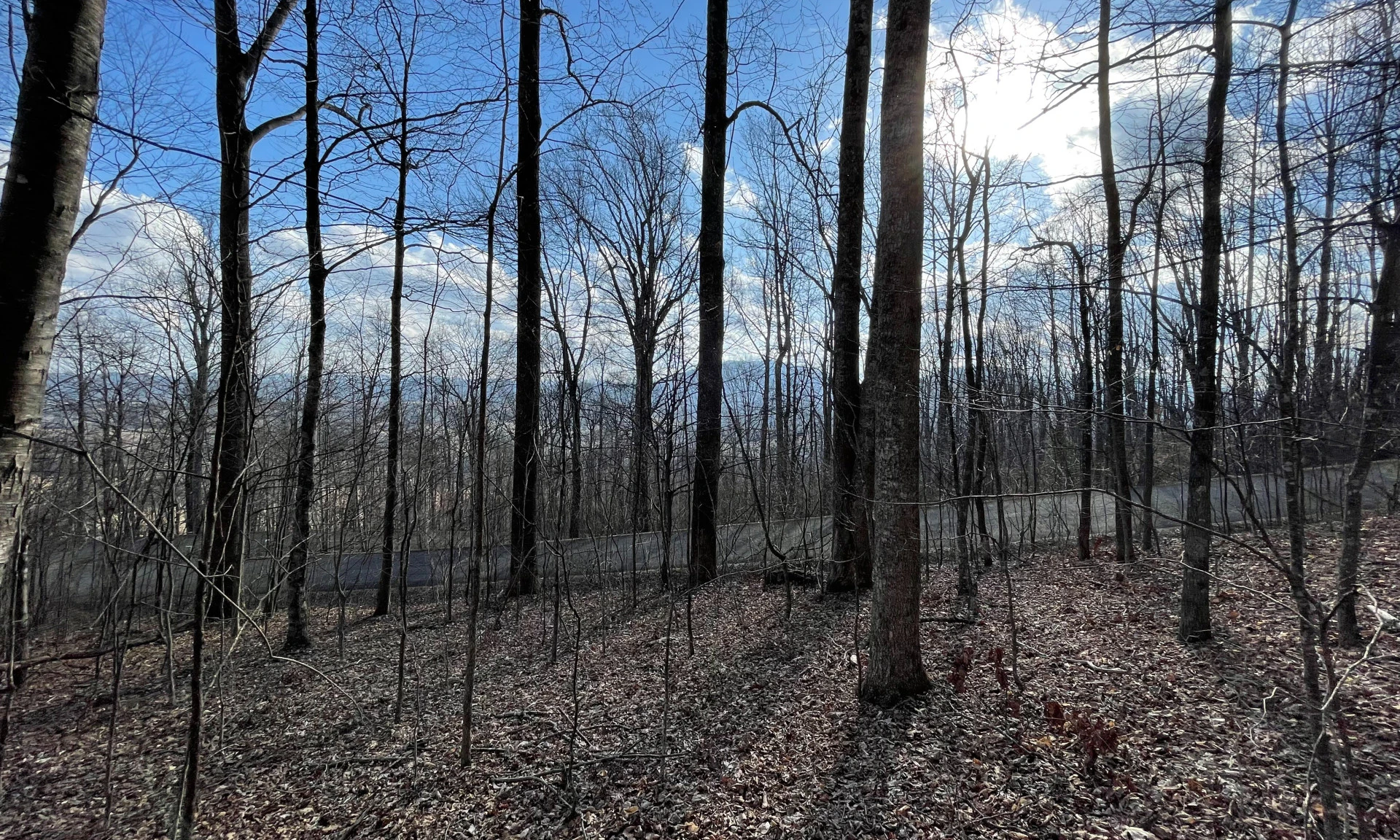 Image number 1 for the current listing