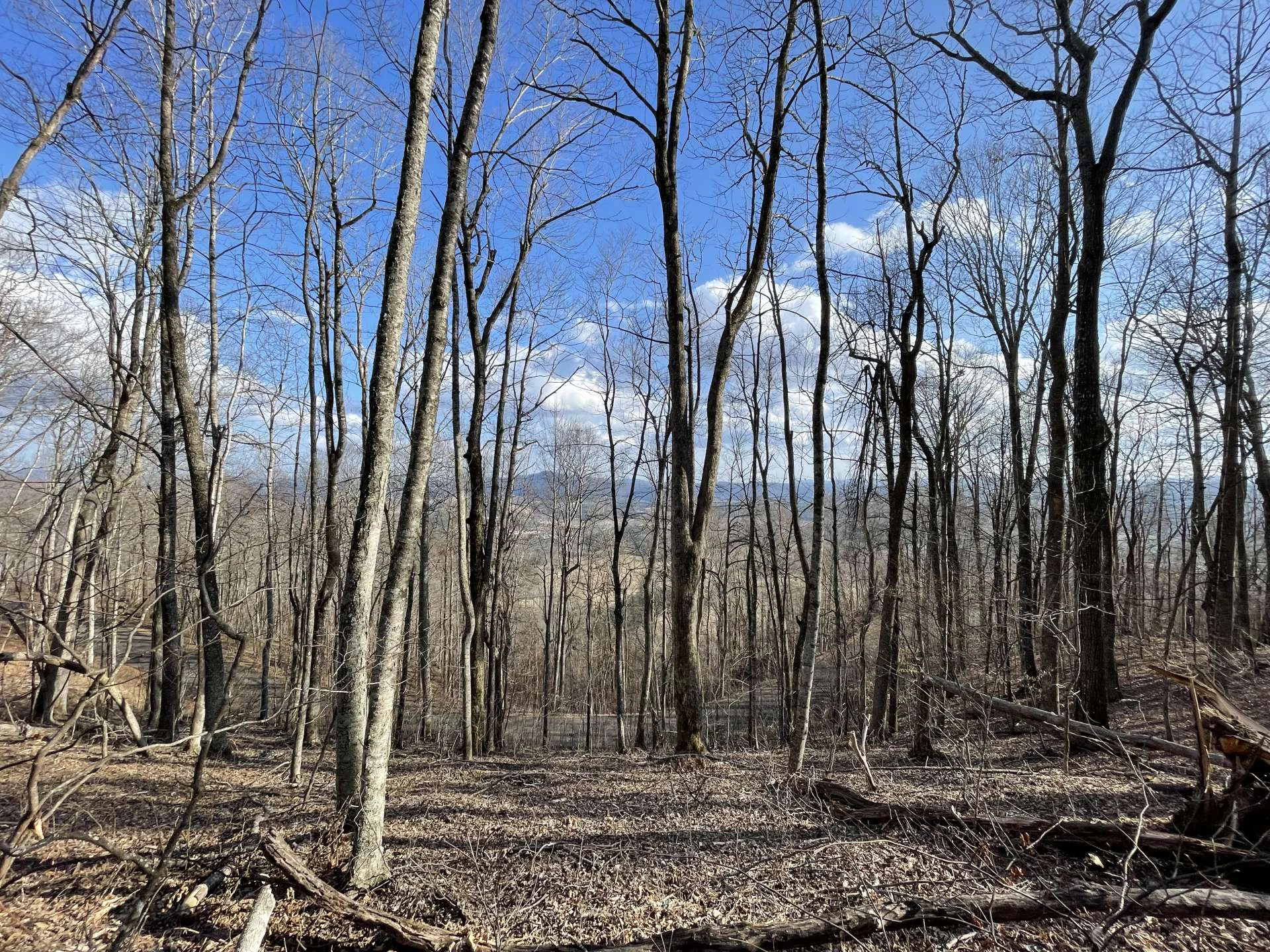 Image number 3 for the current listing