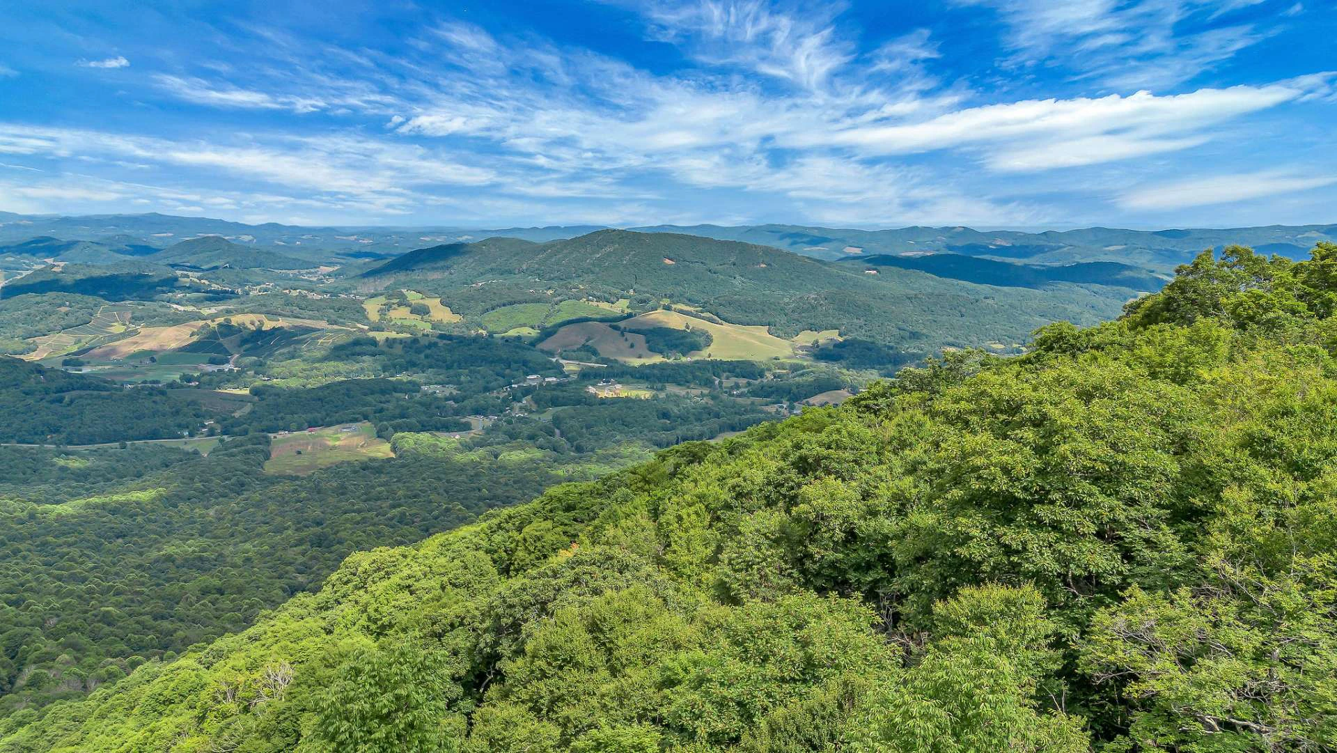 Image number 3 for the current listing