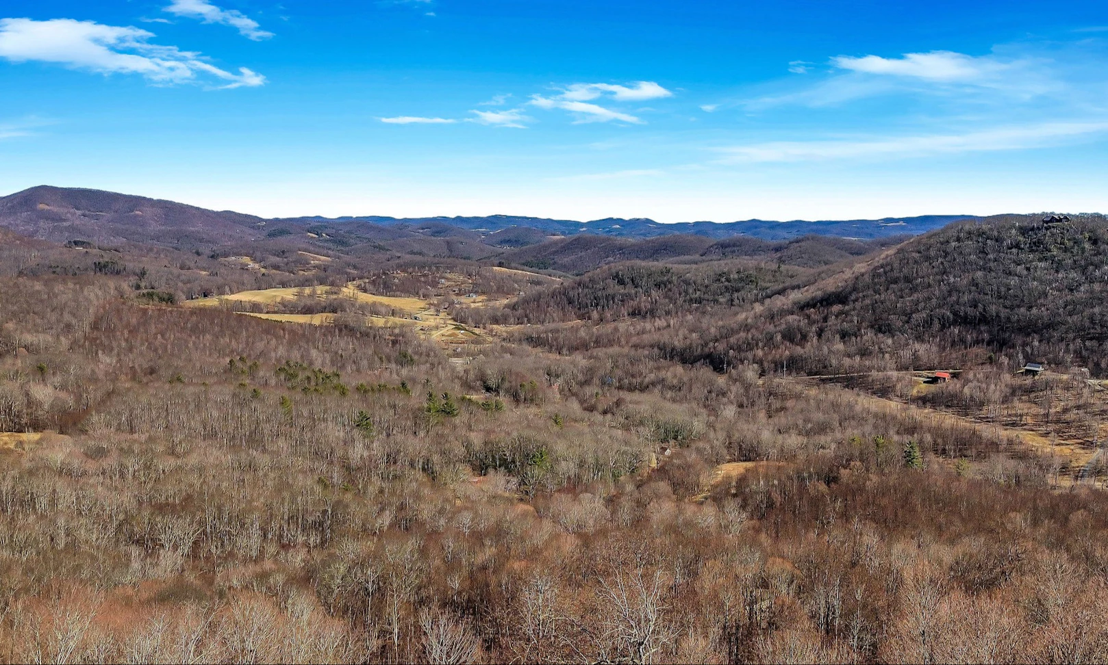 Image number 1 for the current listing