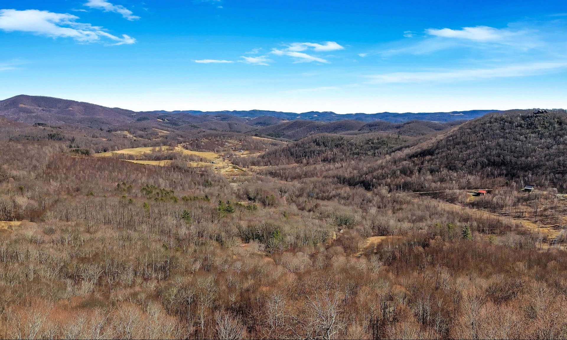 Image number 1 for the current listing