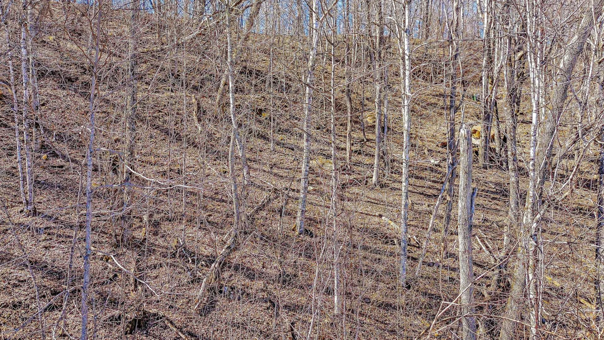 Image number 10 for the current listing