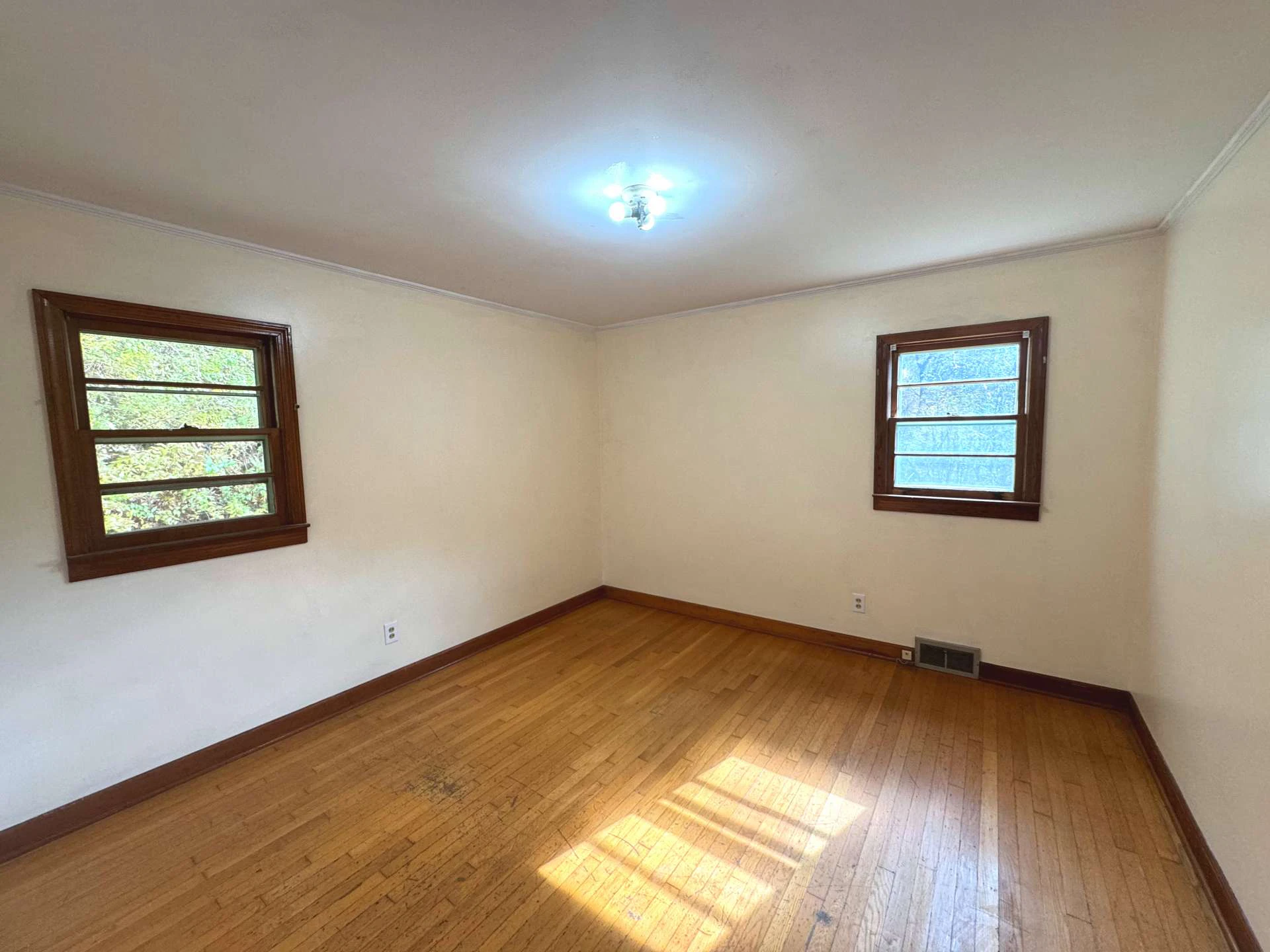 Image number 14 for the current listing