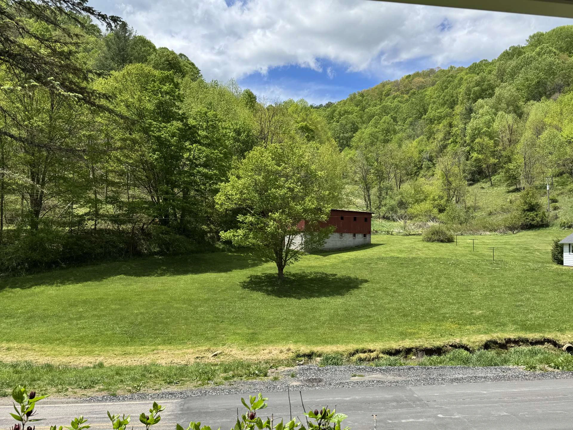 Image number 5 for the current listing