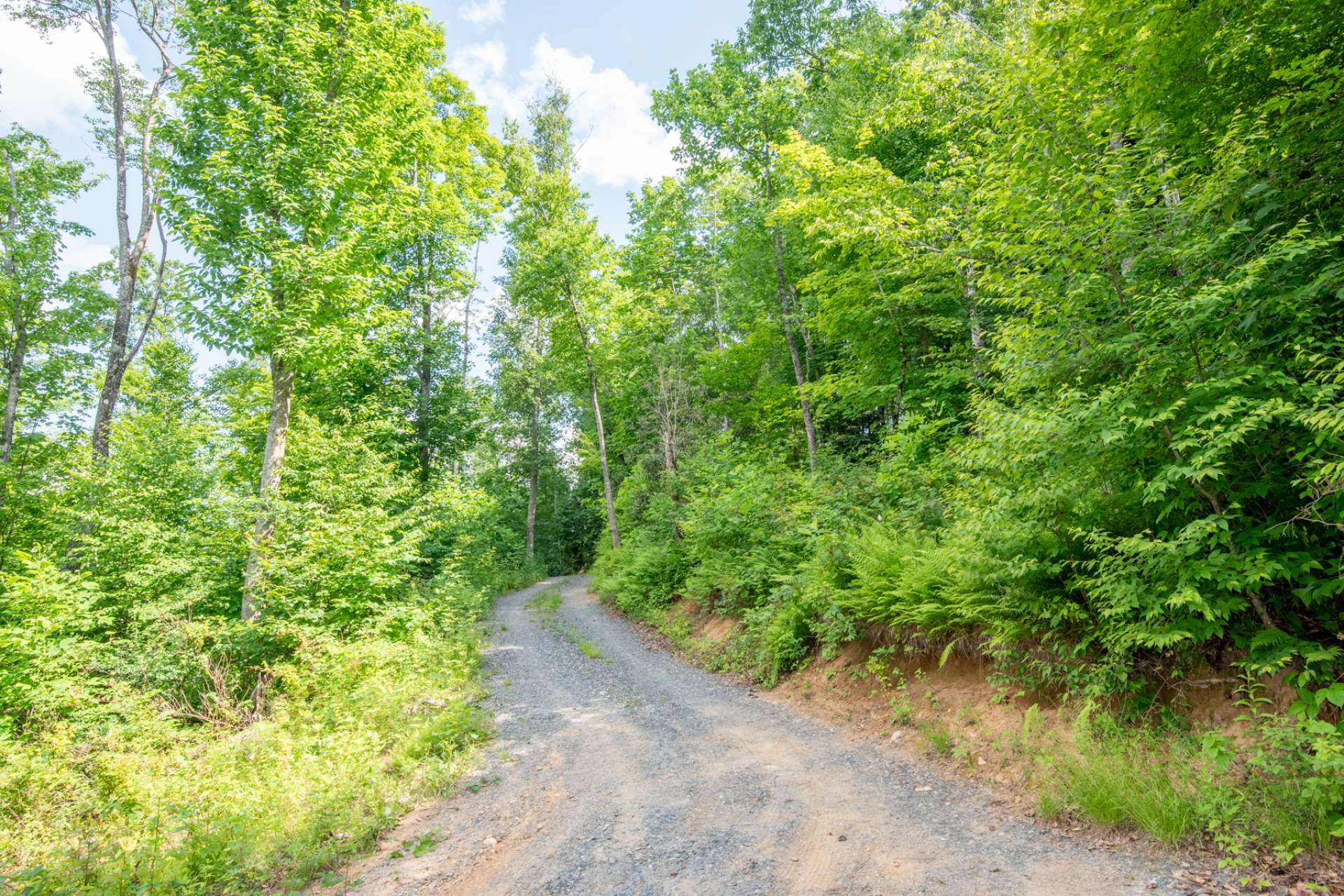 Image number 19 for the current listing