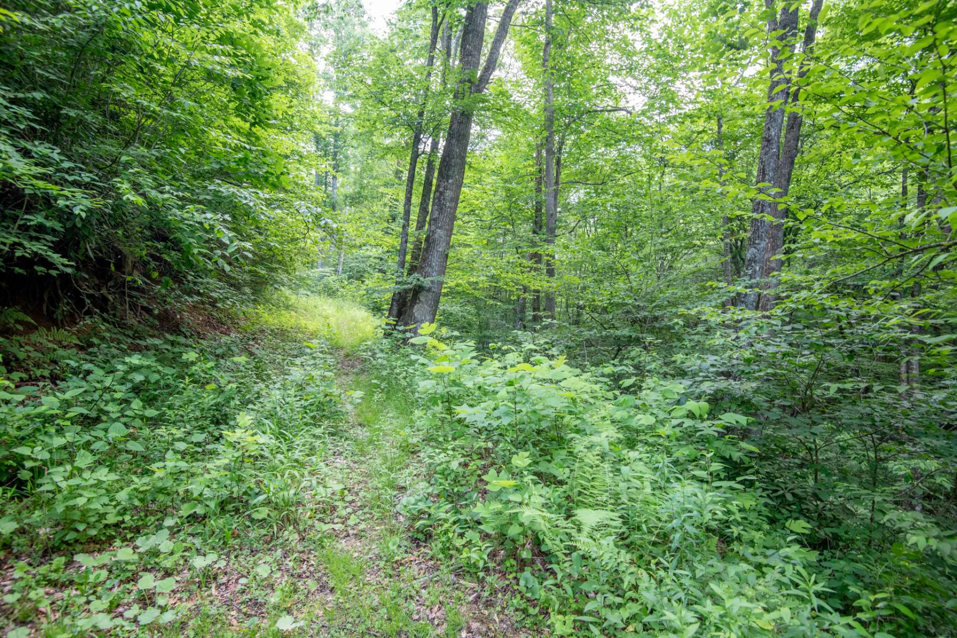 Image number 20 for the current listing
