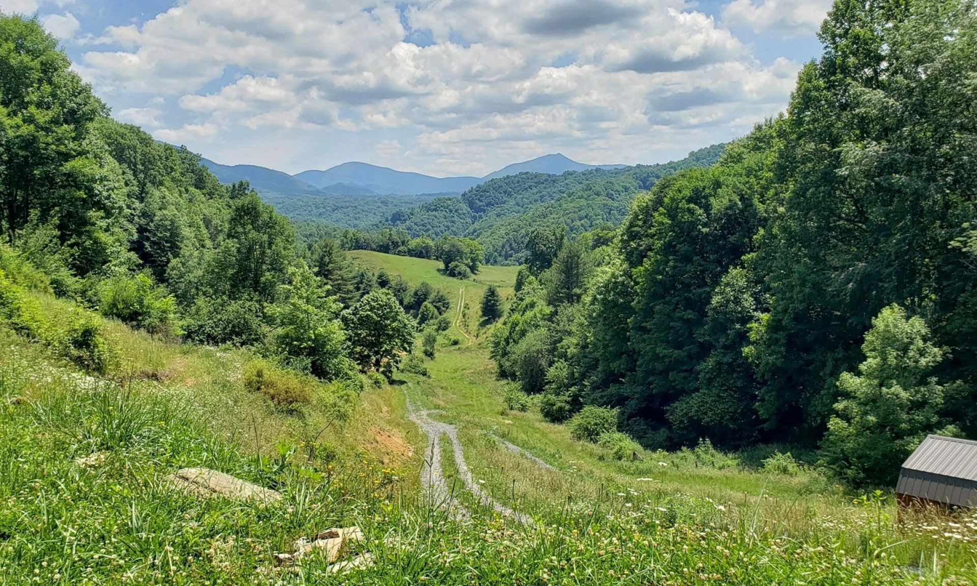 Image number 1 for the current listing