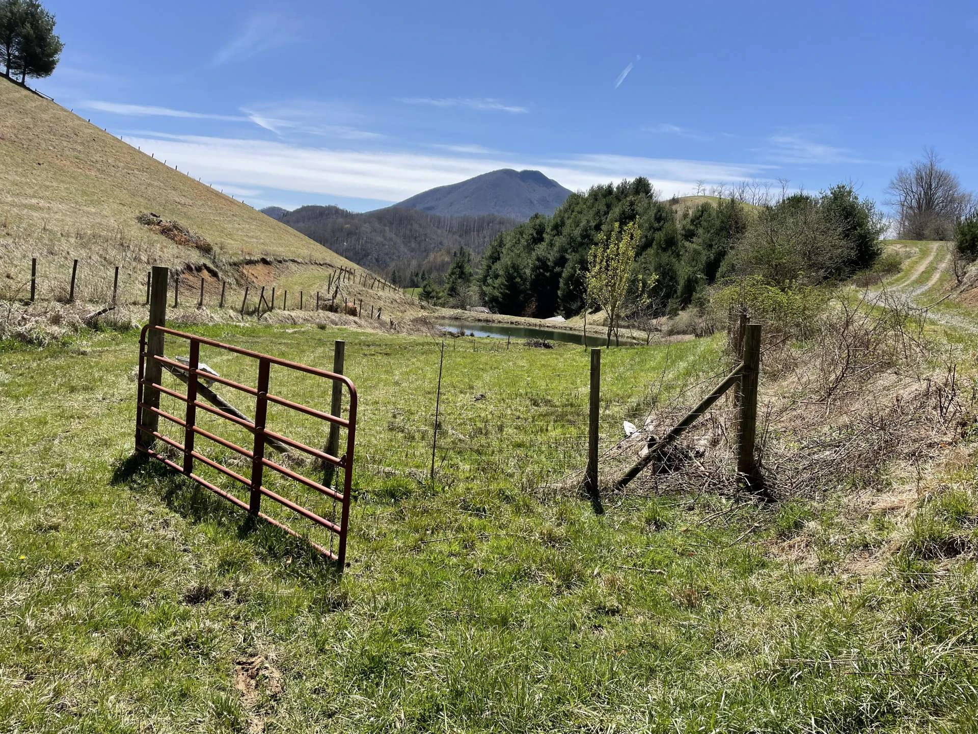 Image number 2 for the current listing
