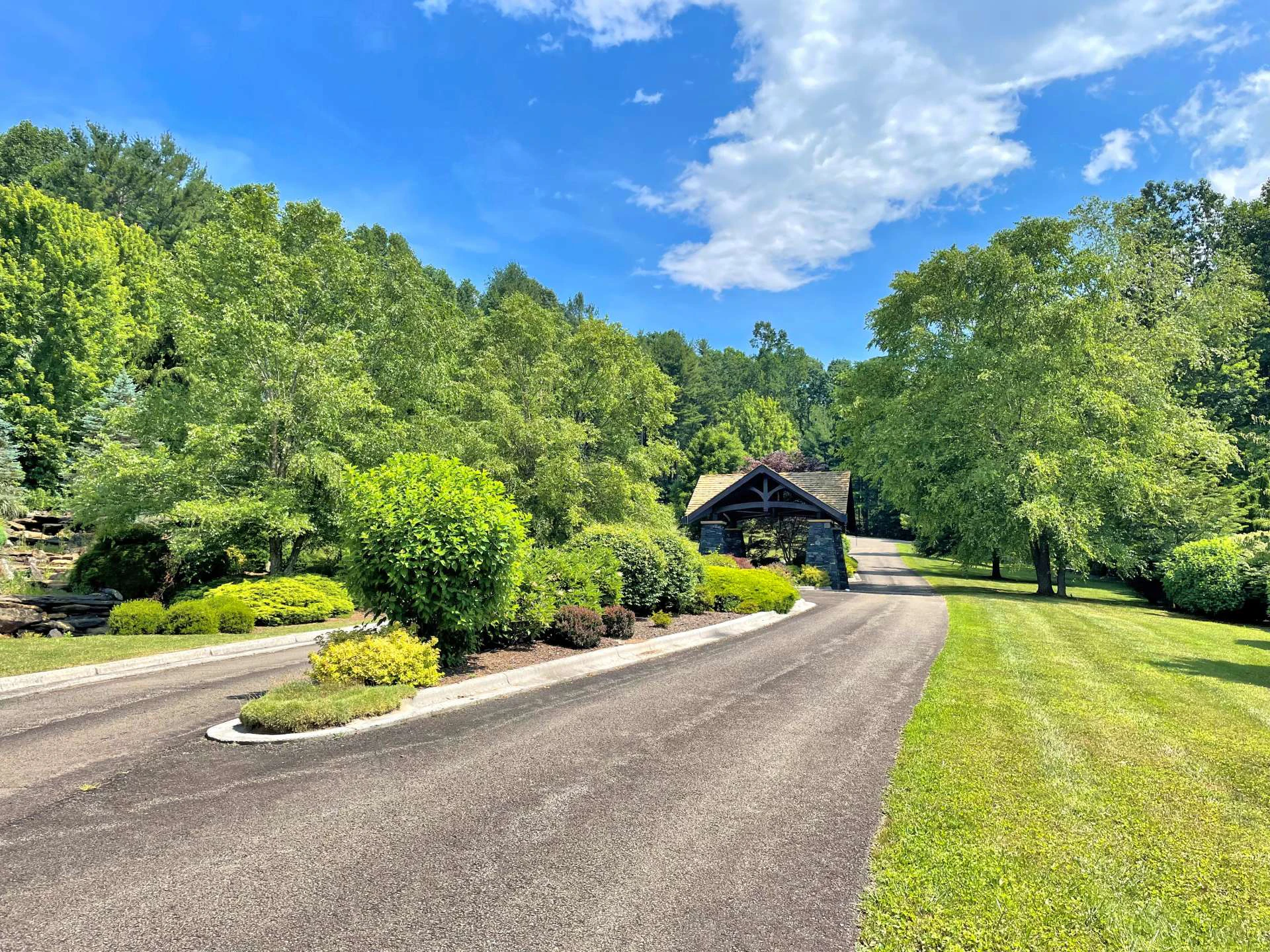 Image number 14 for the current listing