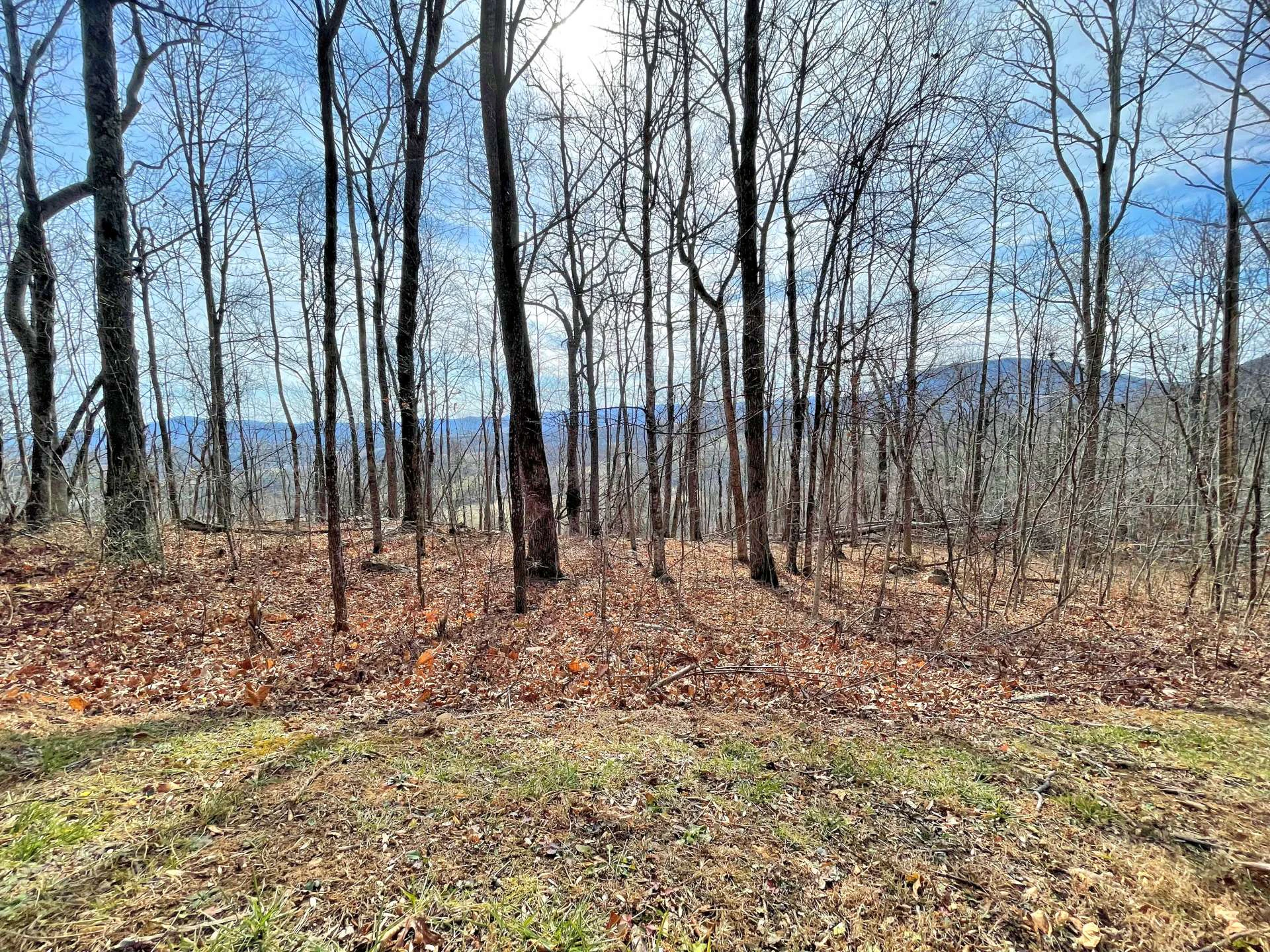 Image number 16 for the current listing