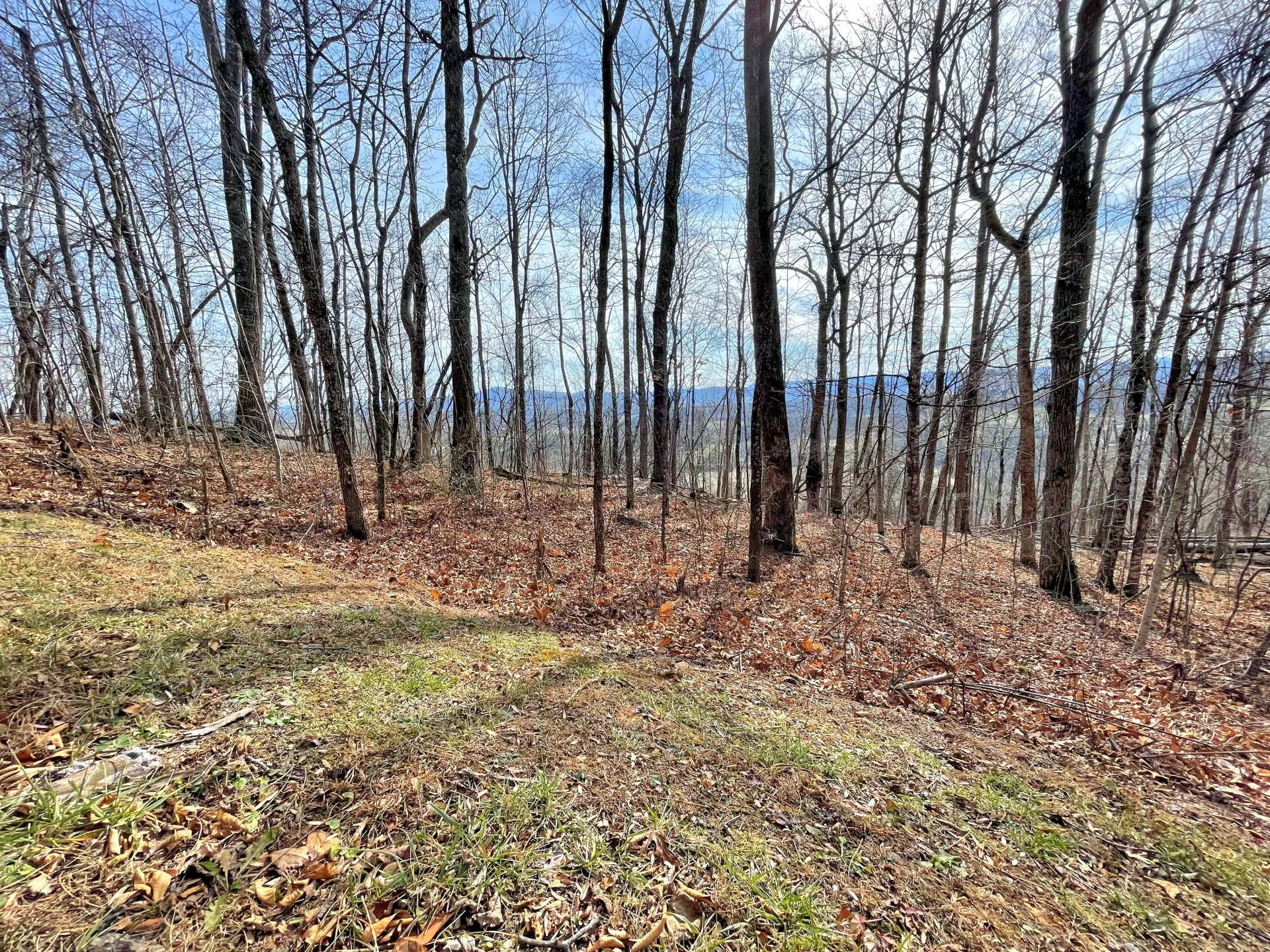 Image number 13 for the current listing