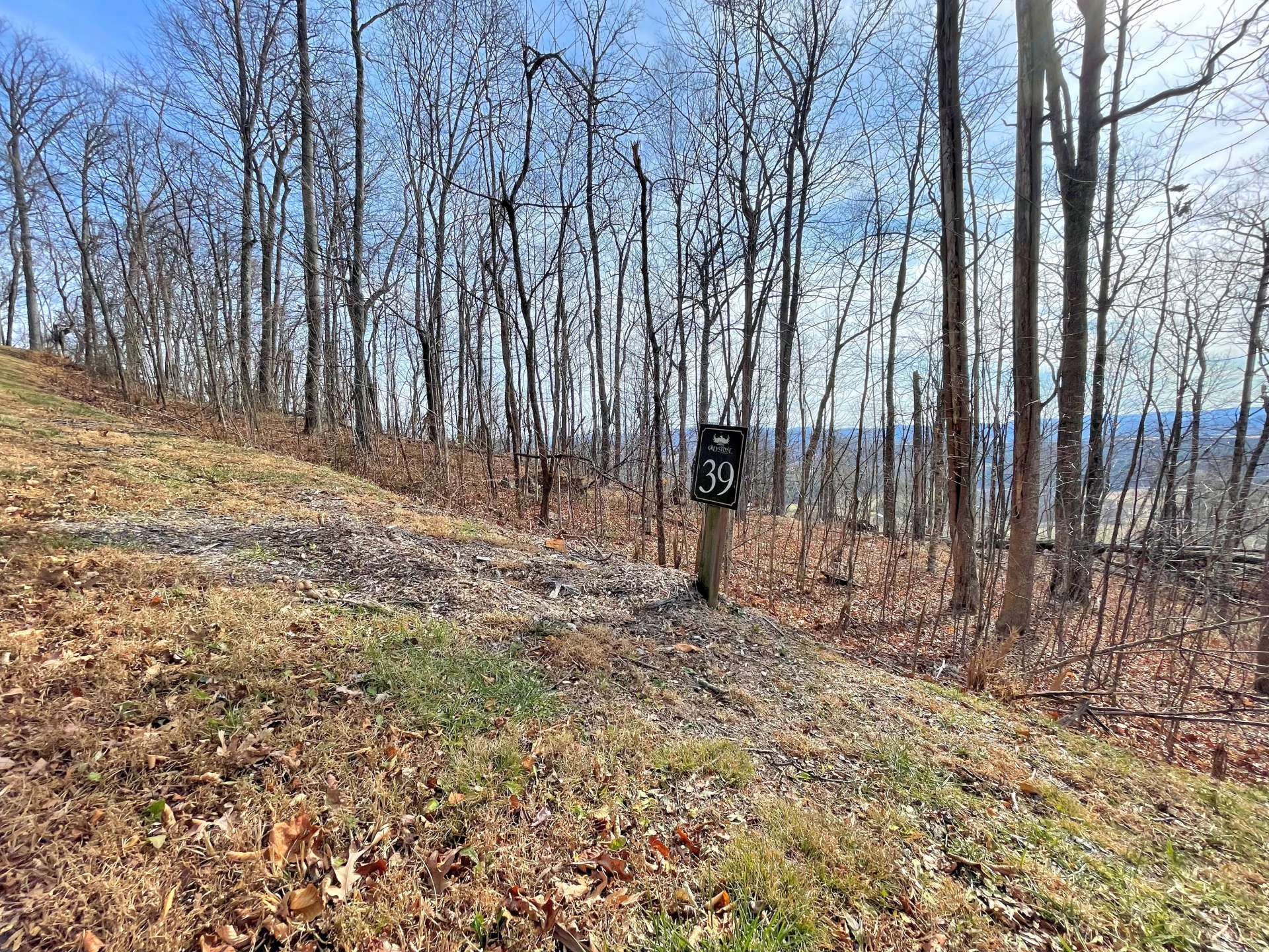 Image number 11 for the current listing