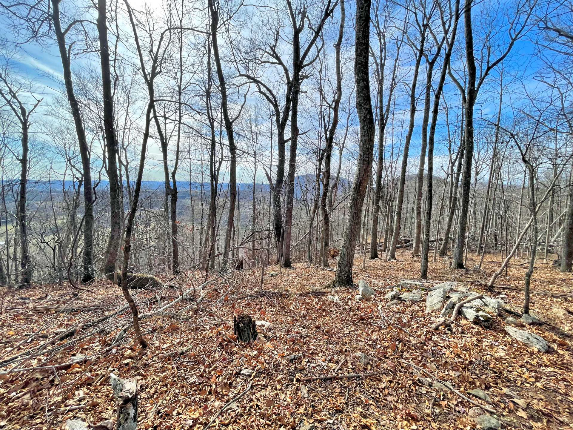 Image number 2 for the current listing
