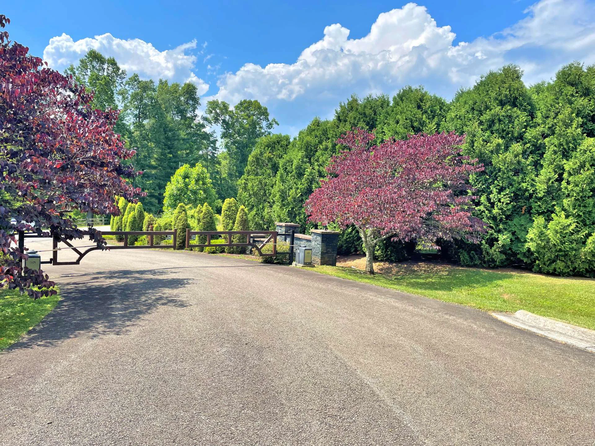 Image number 4 for the current listing