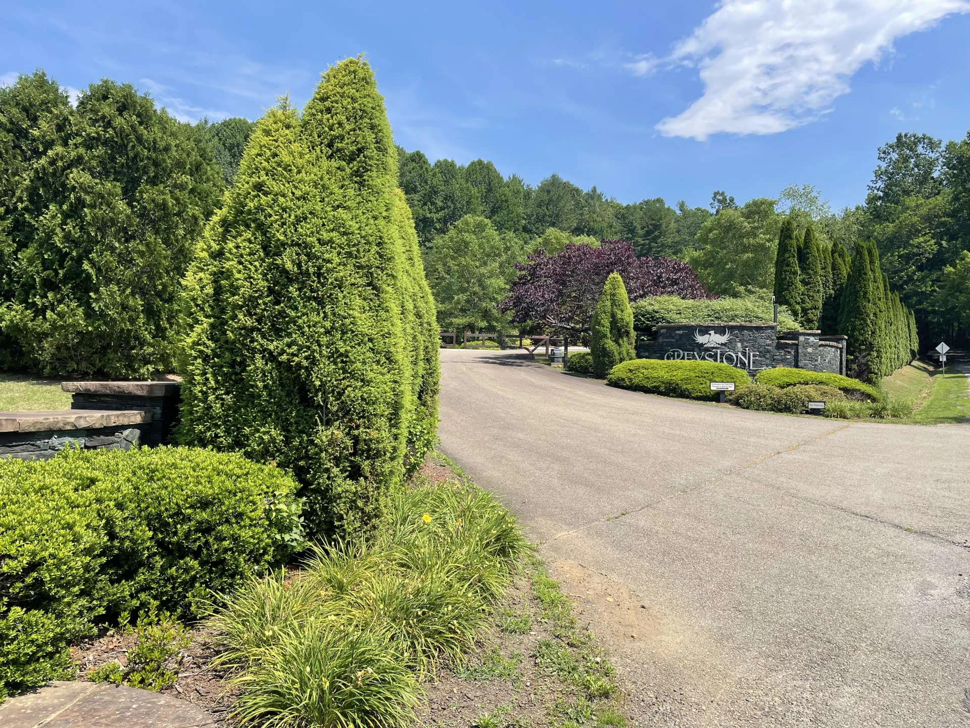 Image number 14 for the current listing