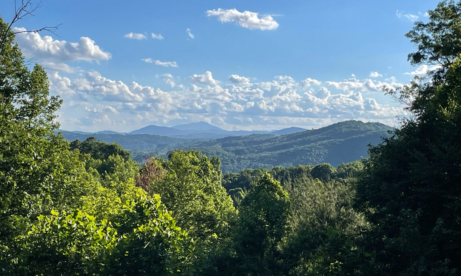 Image number 1 for the current listing