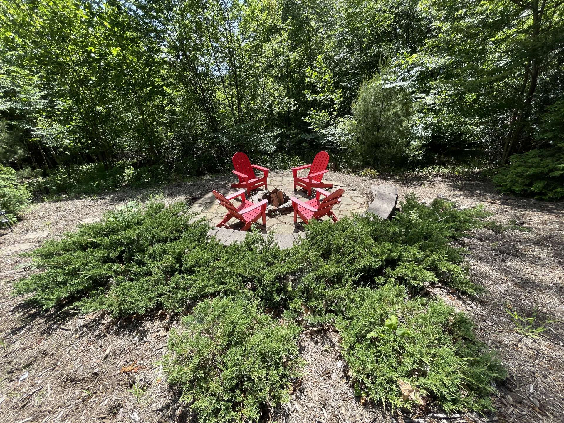 Image number 21 for the current listing