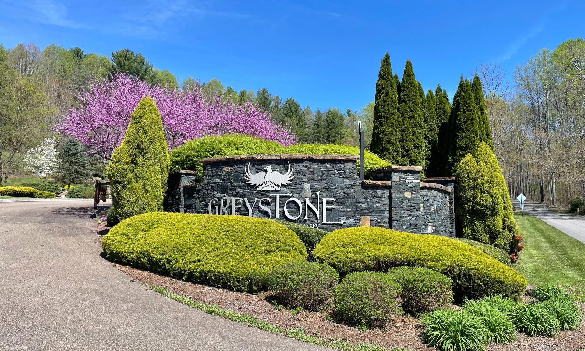 Image number 1 for the current listing