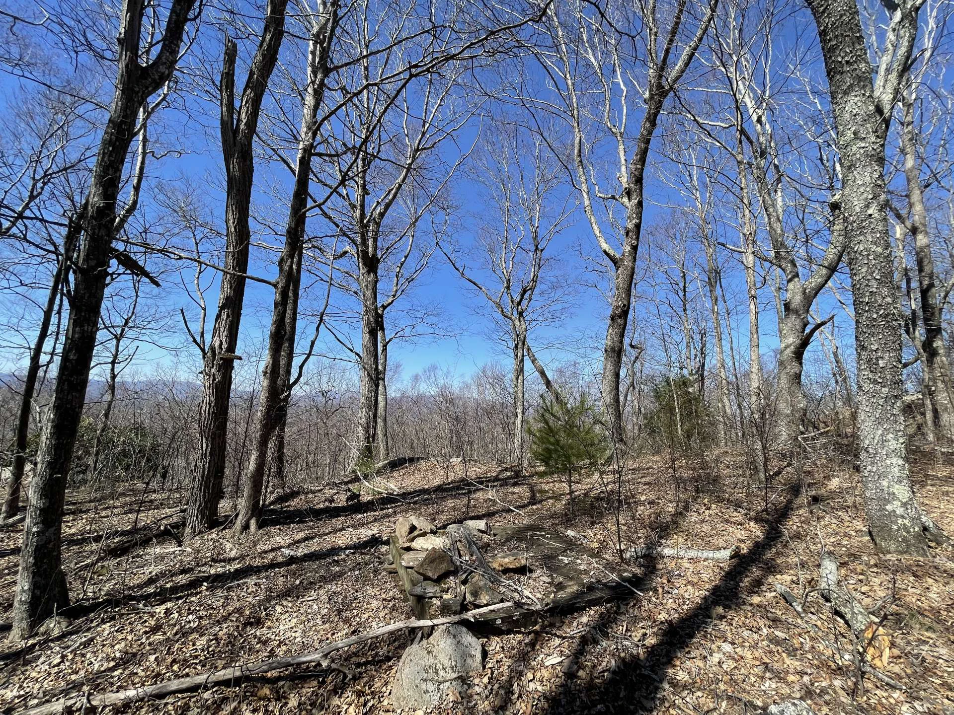 Image number 2 for the current listing