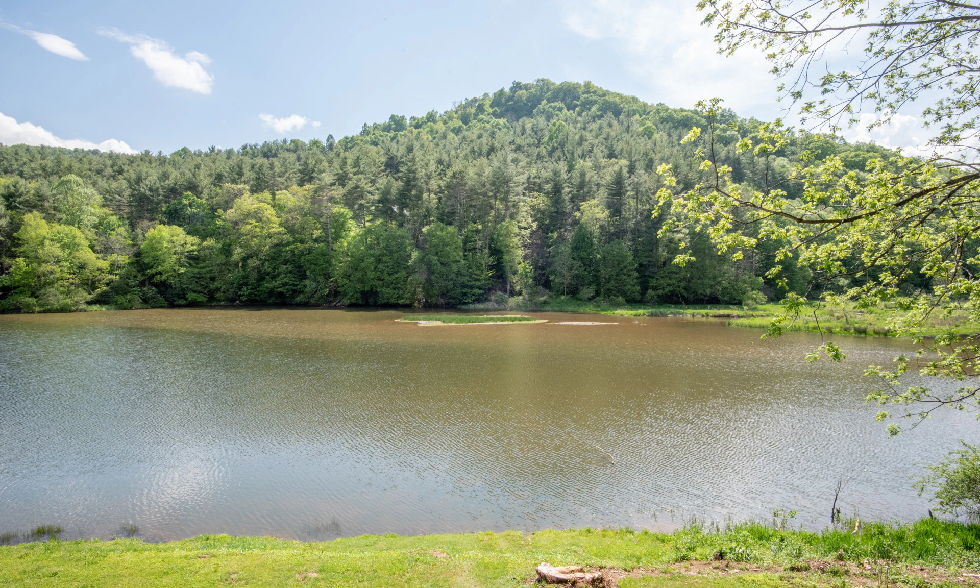 Image number 1 for the current listing