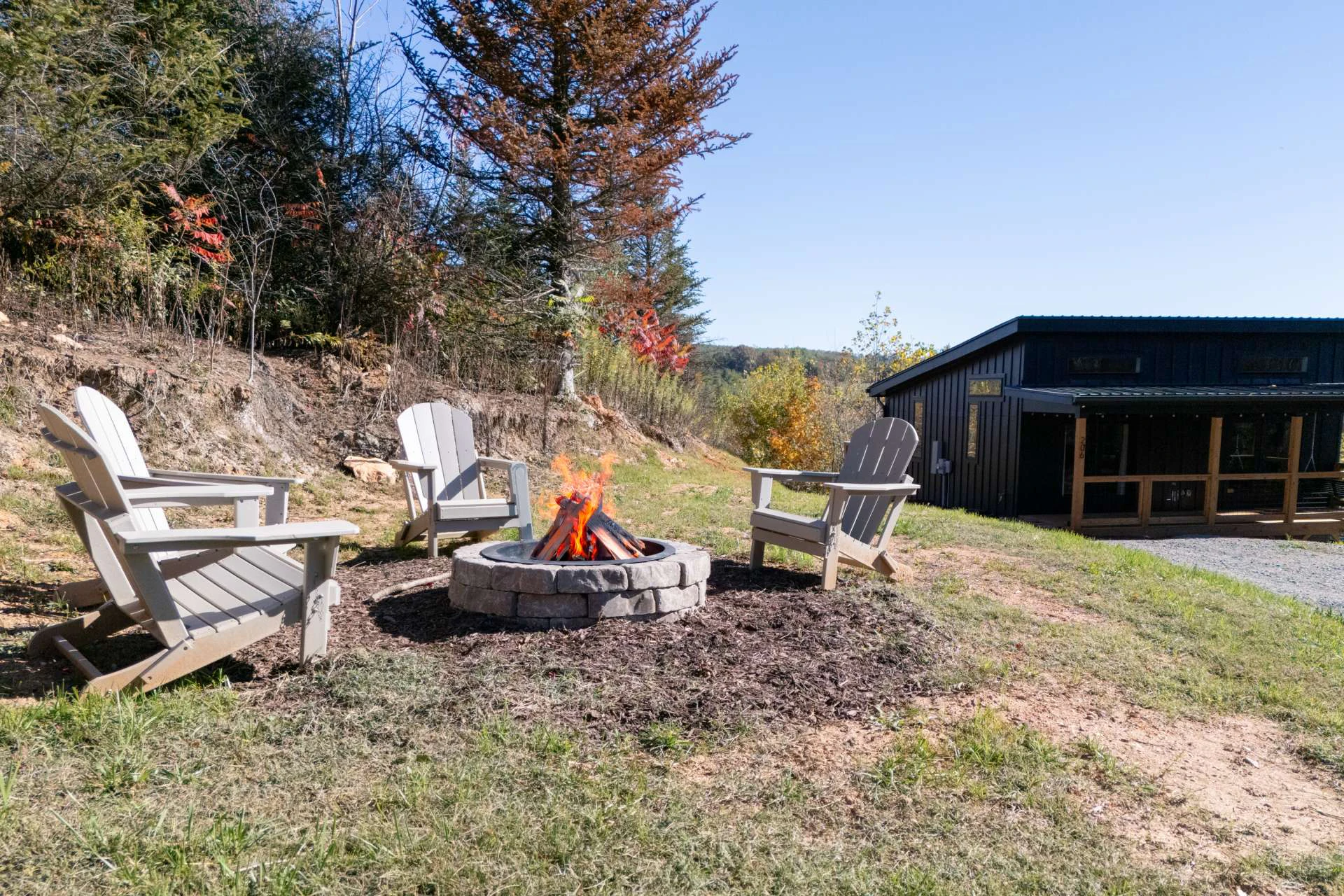 Image number 5 for the current listing