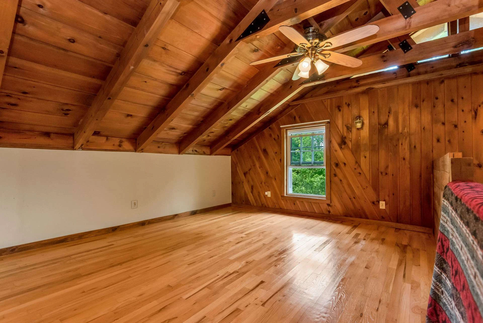 Image number 12 for the current listing
