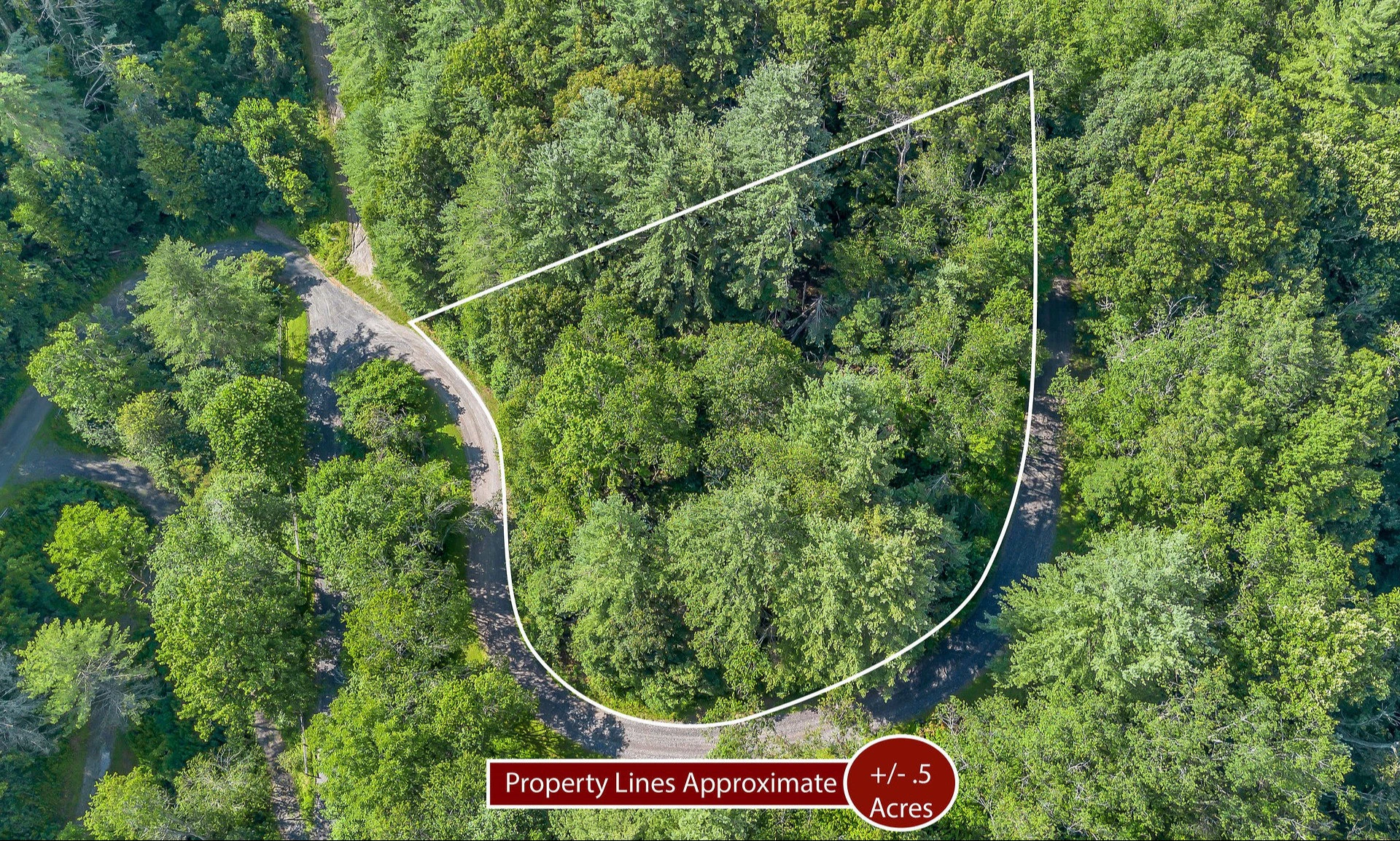 Image number 1 for the current listing