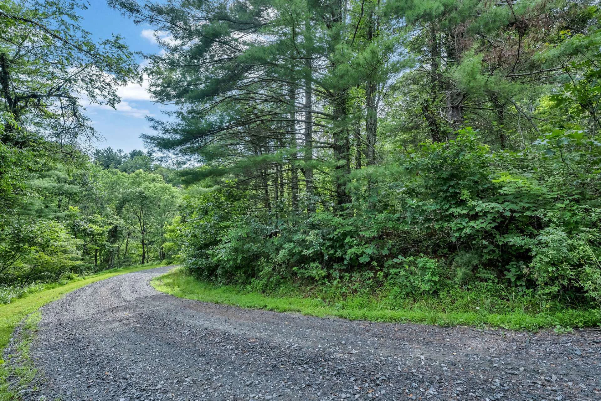 Image number 11 for the current listing