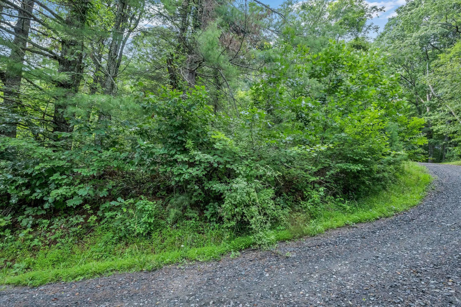 Image number 12 for the current listing