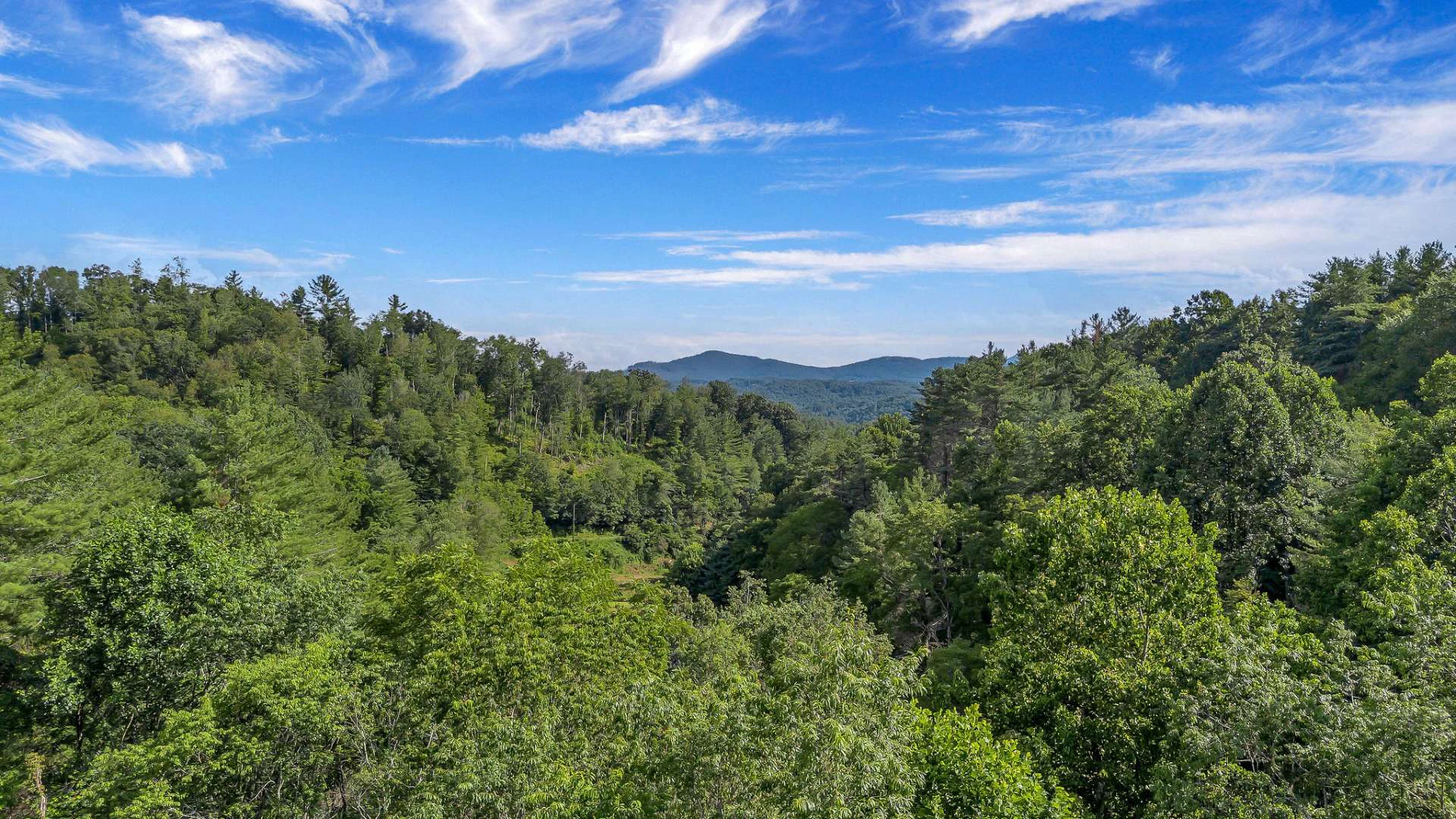 Image number 3 for the current listing
