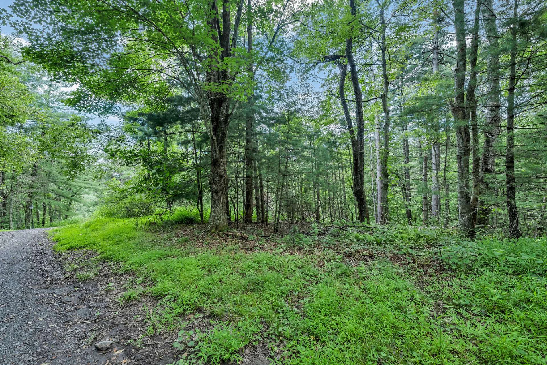 Image number 7 for the current listing
