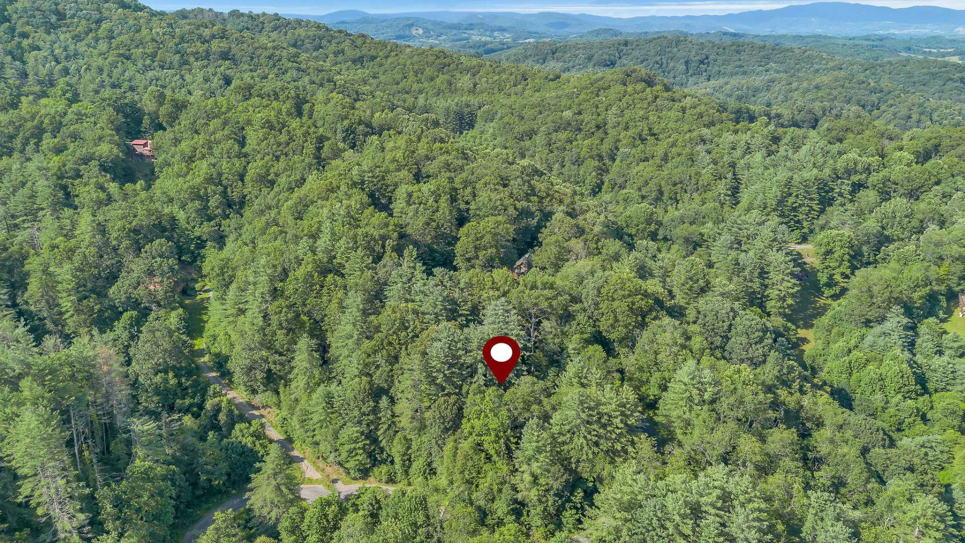 Image number 4 for the current listing
