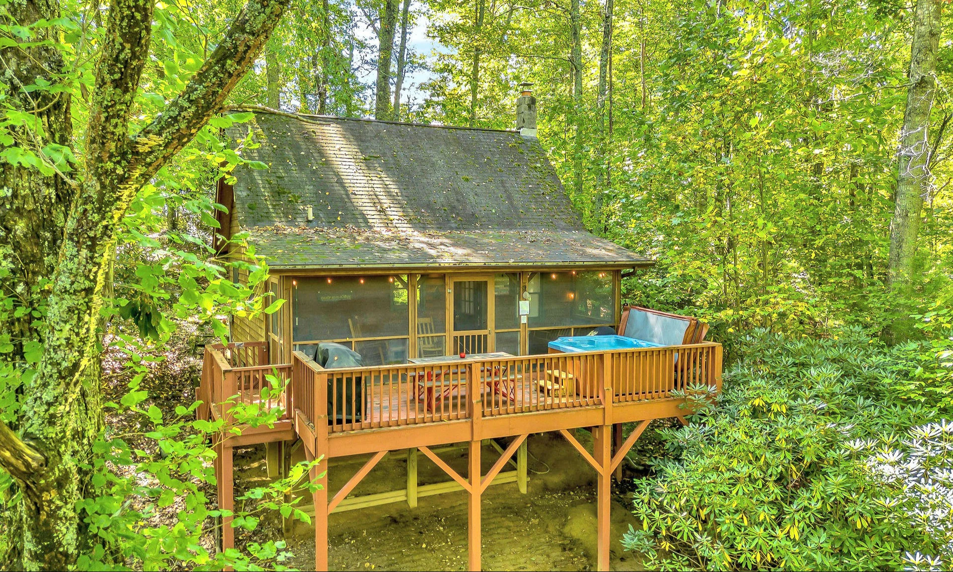 Image number 1 for the current listing