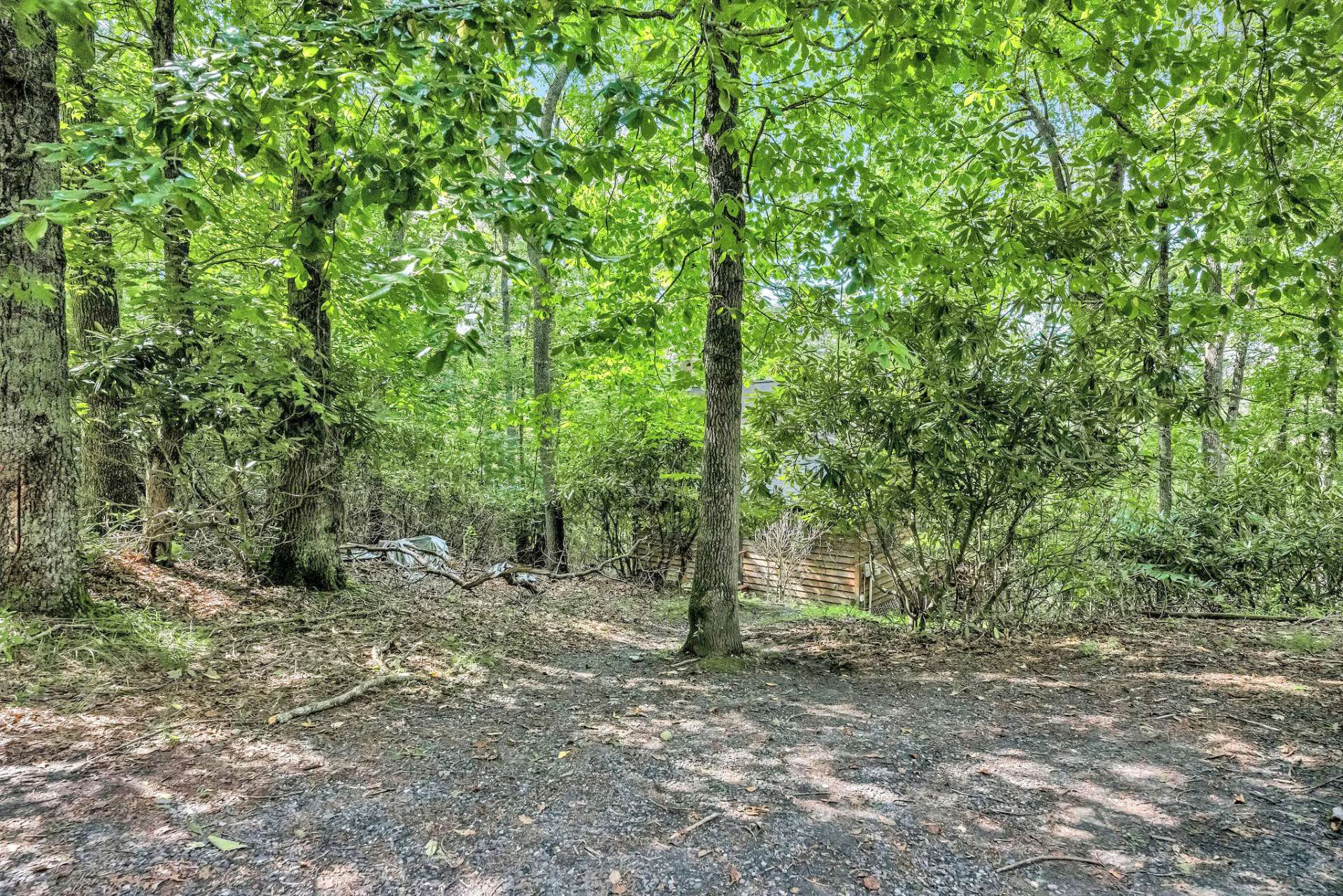 Image number 17 for the current listing