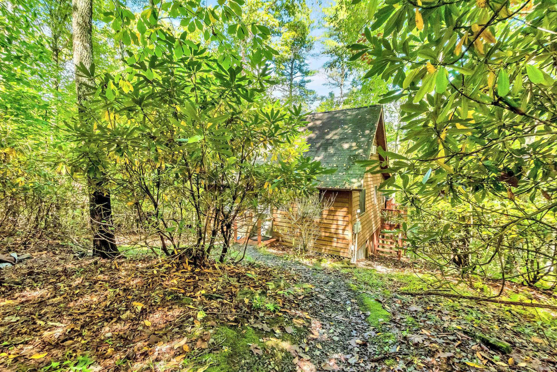 Image number 12 for the current listing