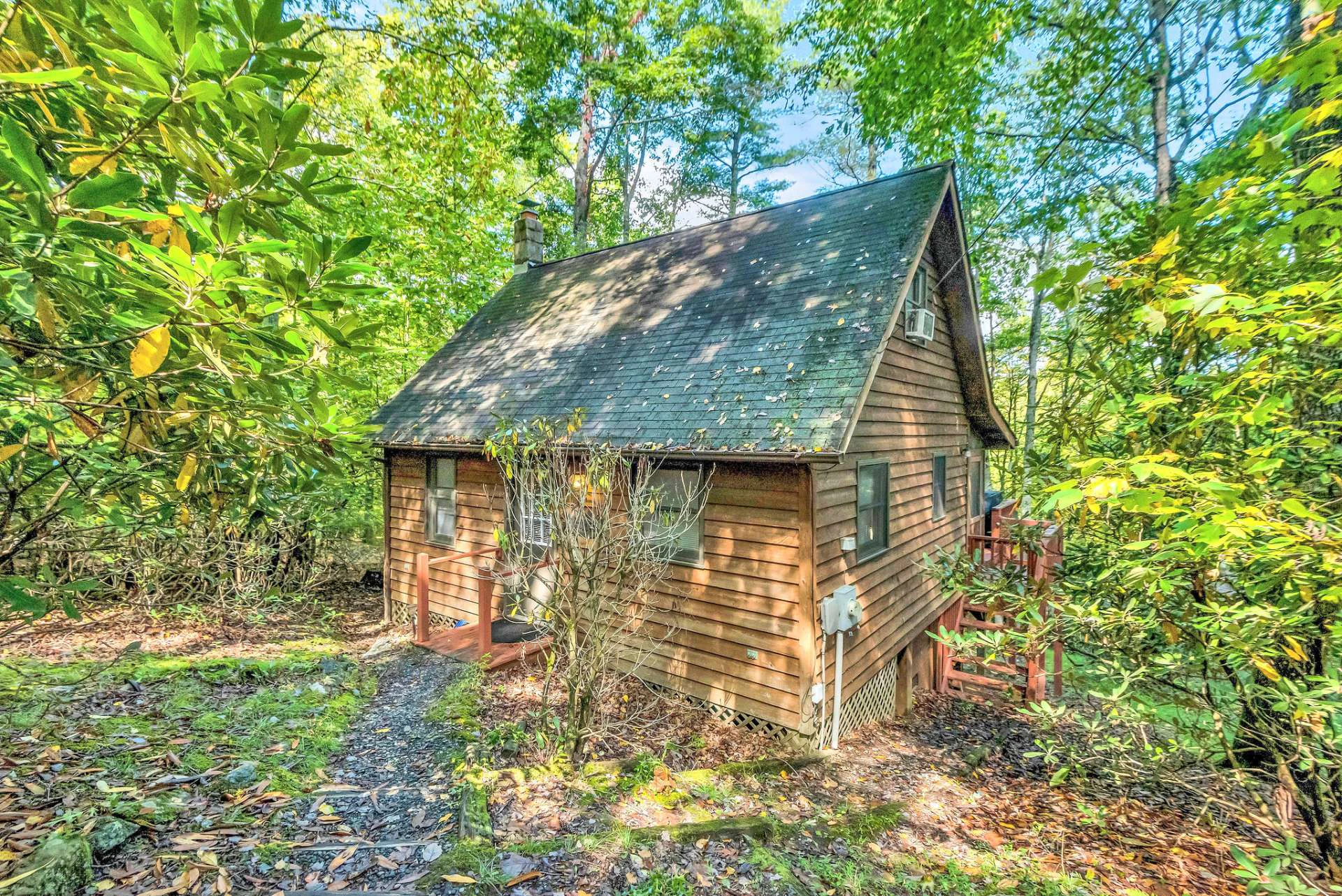 Image number 14 for the current listing