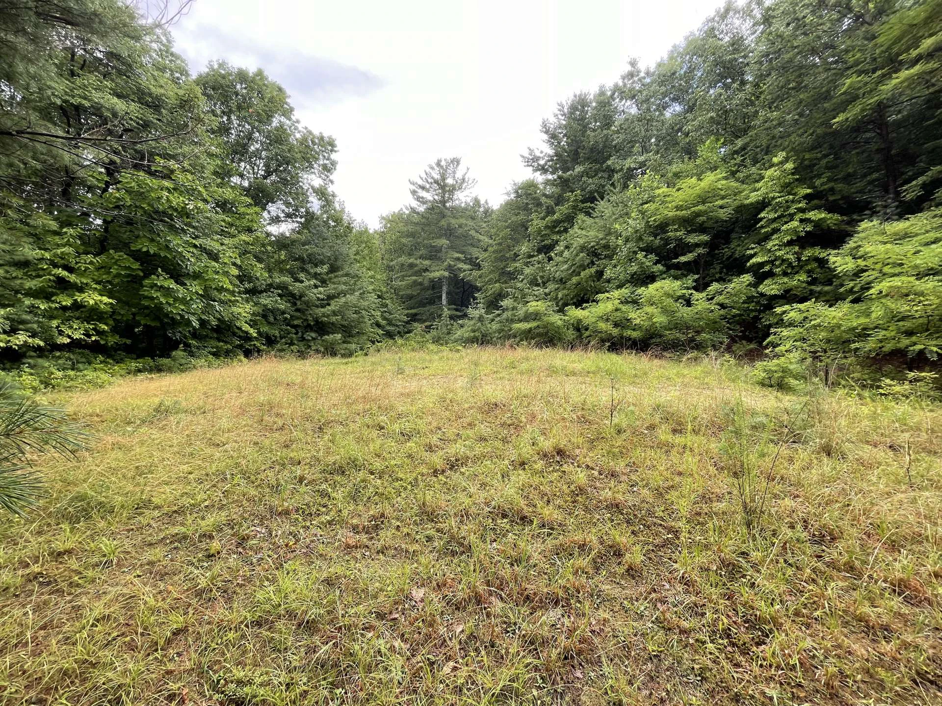 Image number 2 for the current listing