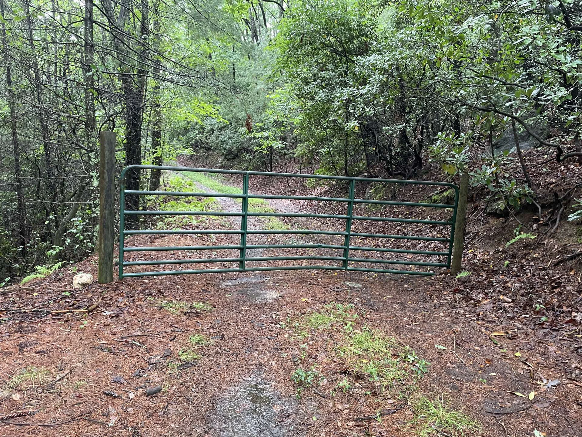 Image number 12 for the current listing