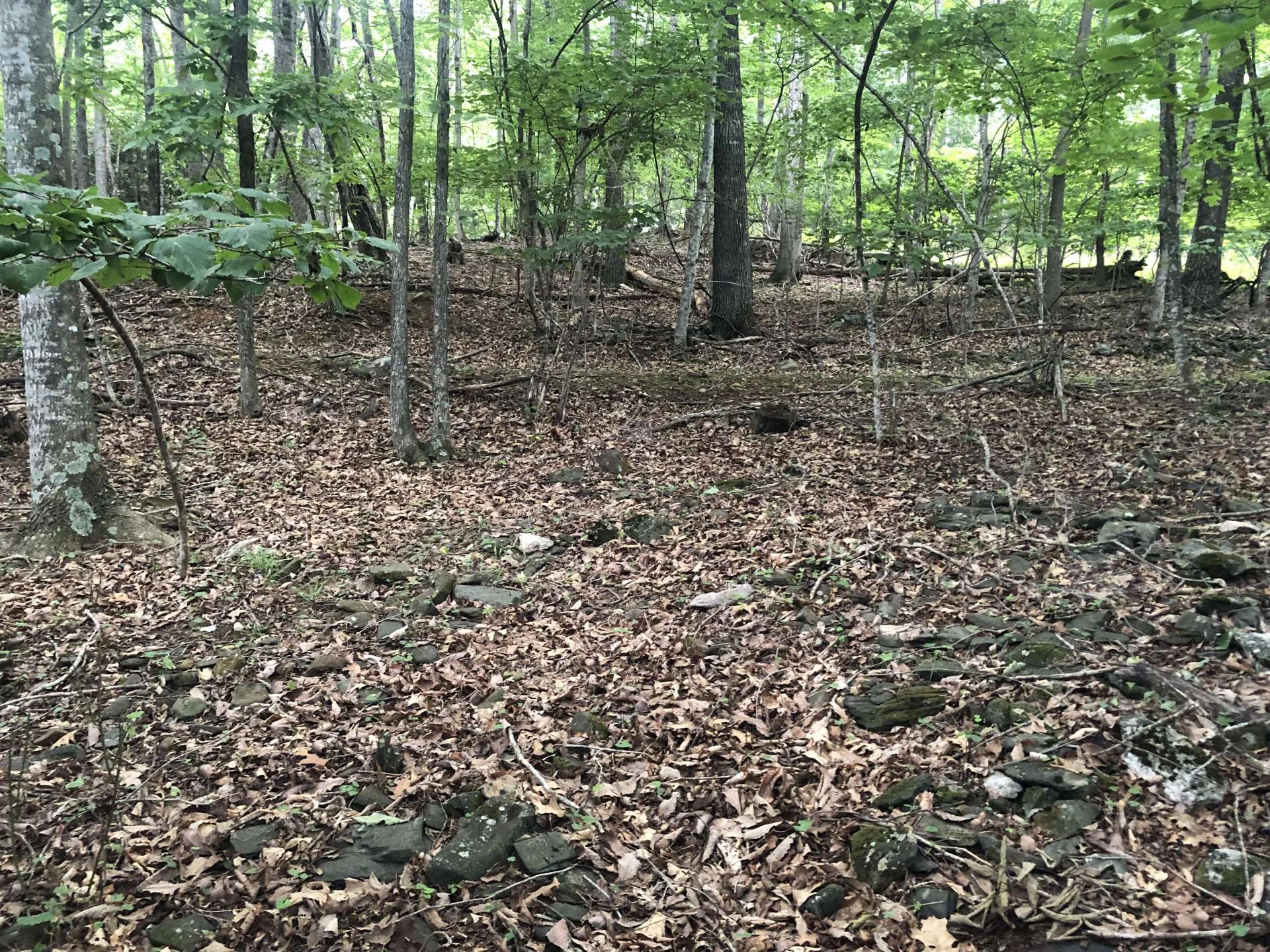 Image number 2 for the current listing