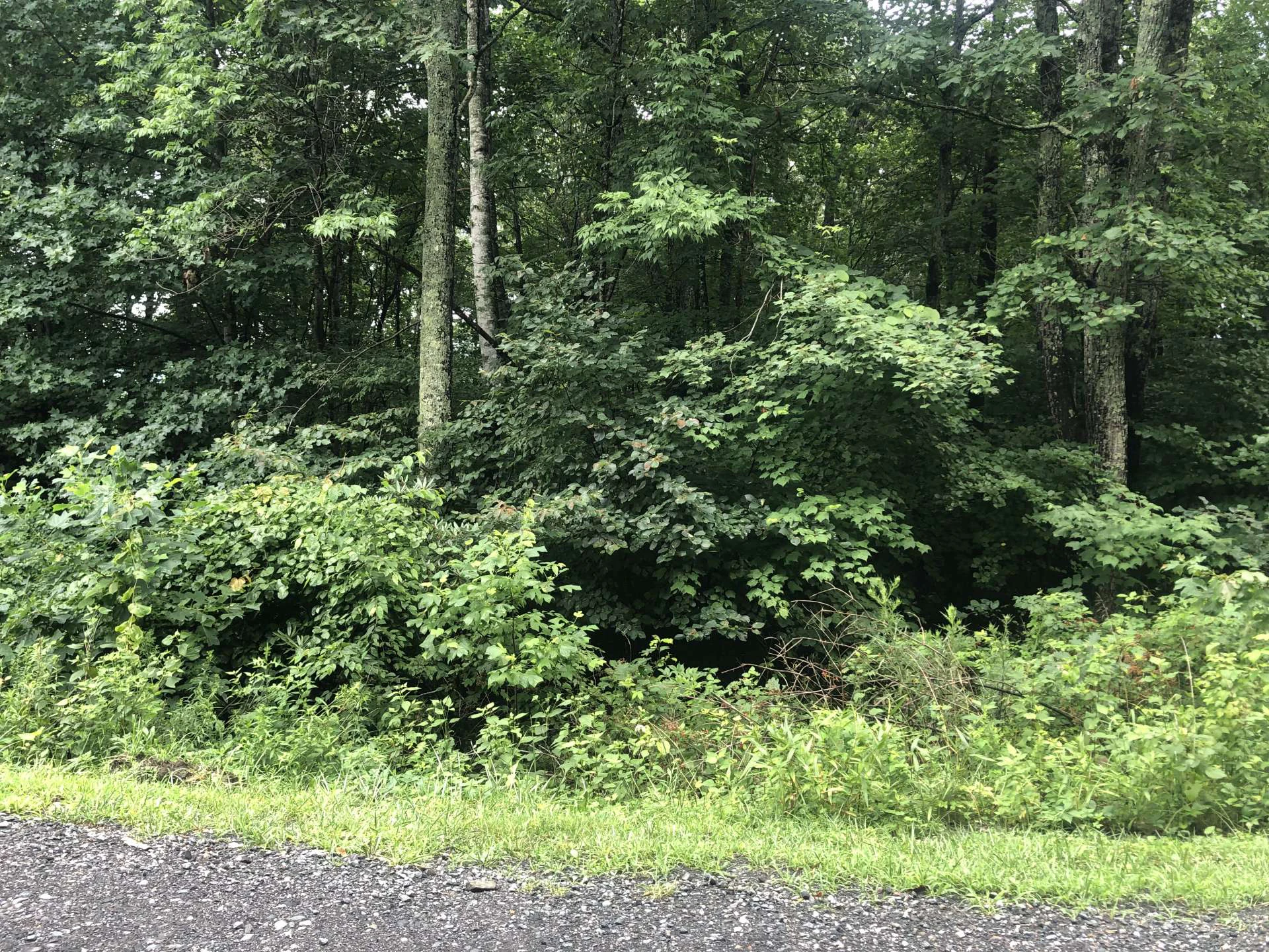 Image number 3 for the current listing