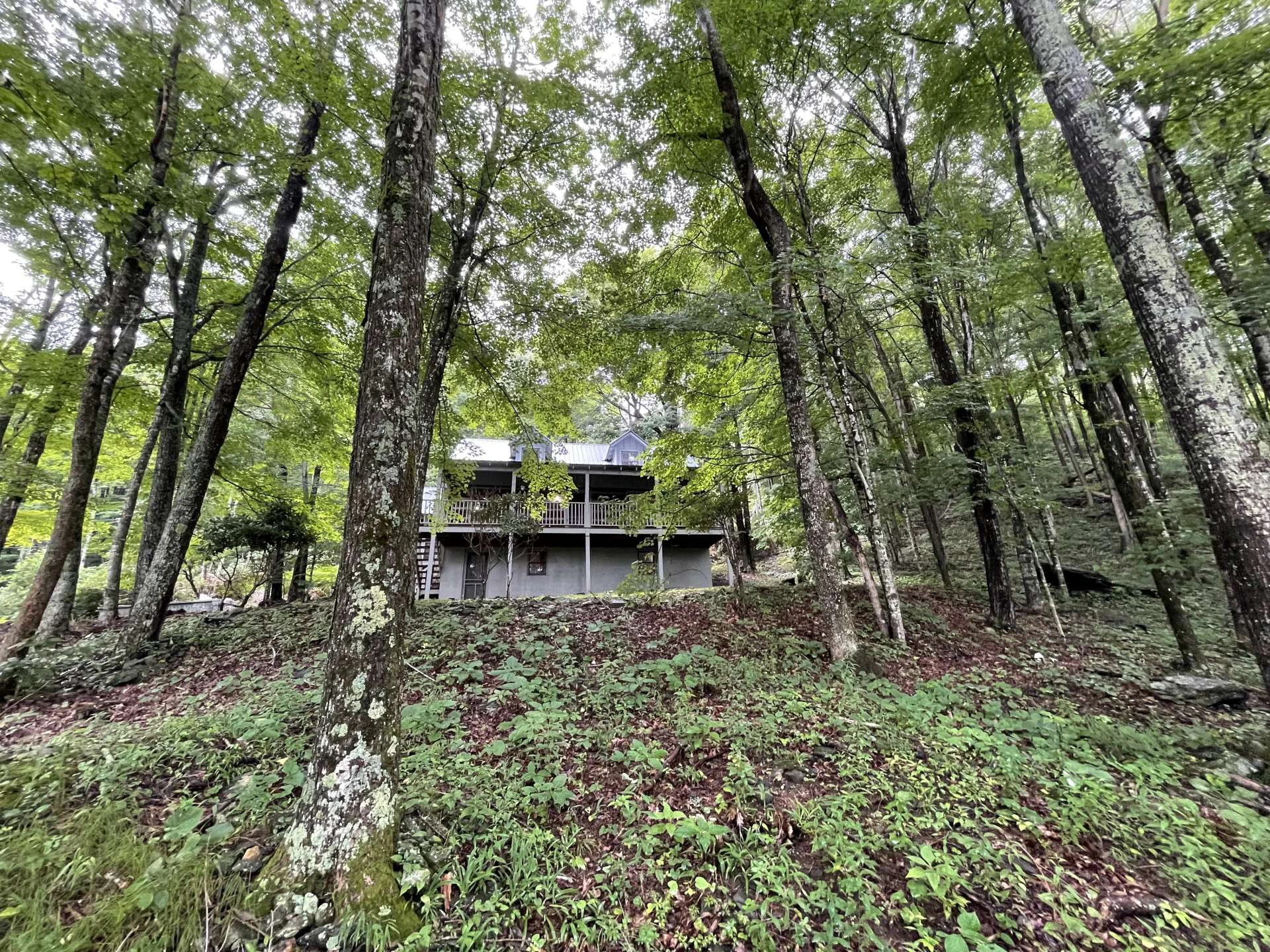 Image number 14 for the current listing